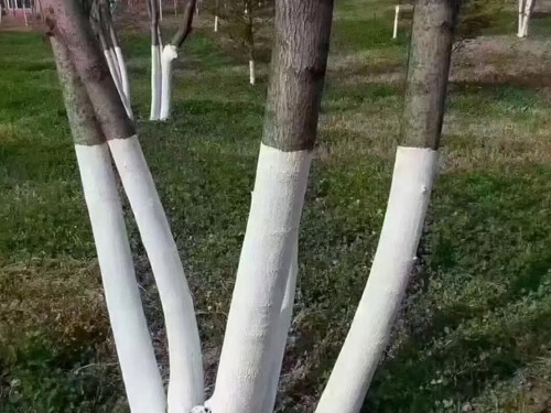 客户案例